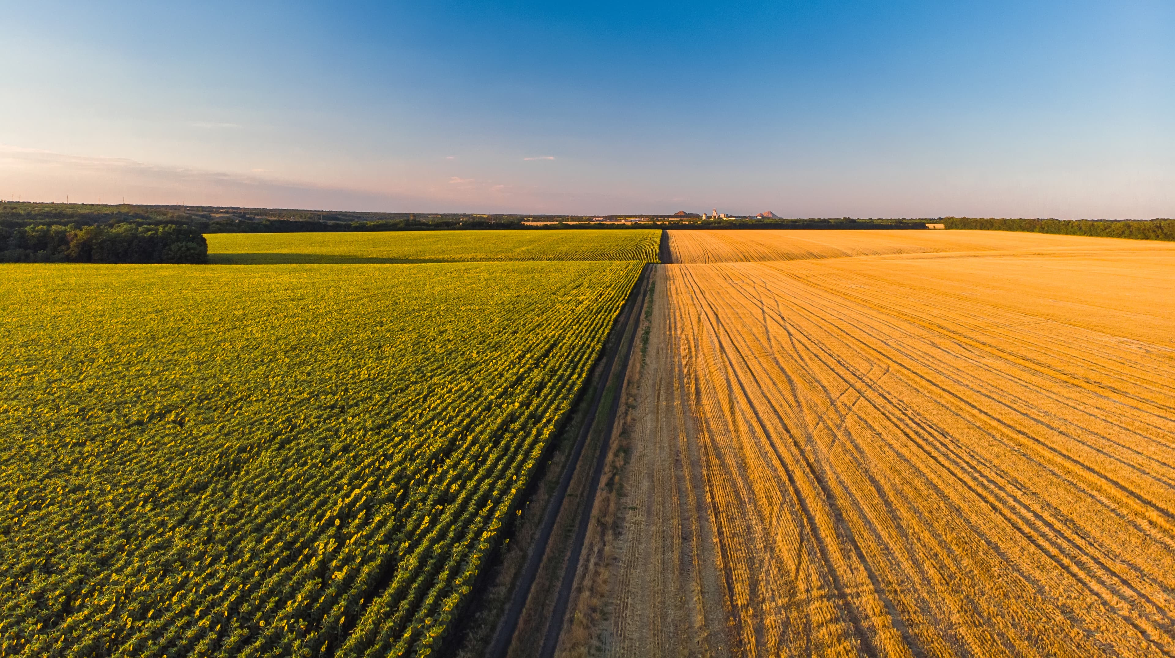 Jūsų agrochemijos ir trąšų verslo atstovai Lietuvoje